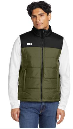 The North Face Everyday Insulated Vest (NF0A529Q)